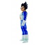 Dimension of DRAGONBALL Vegeta