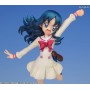 Sekai Seifuku Sakusen - Heart Catch PreCure! Kurumi Erika