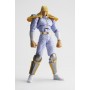 Legacy Of Revoltech LR-027 "Fist of the North Star" Shin