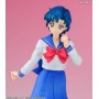 Sekai Seifuku Sakusen Sailor Moon Mizuno Ami