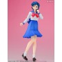 Sekai Seifuku Sakusen Sailor Moon Mizuno Ami