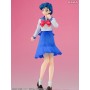 Sekai Seifuku Sakusen Sailor Moon Mizuno Ami